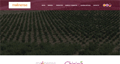 Desktop Screenshot of molinense.com
