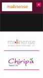 Mobile Screenshot of molinense.com