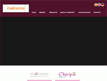Tablet Screenshot of molinense.com